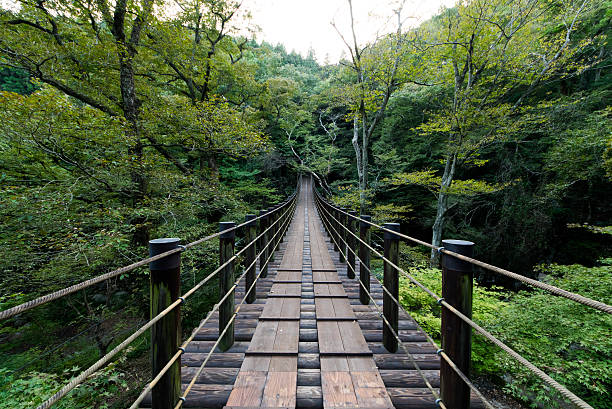 istock Shiomi Falls Suspension Bridge 523216869