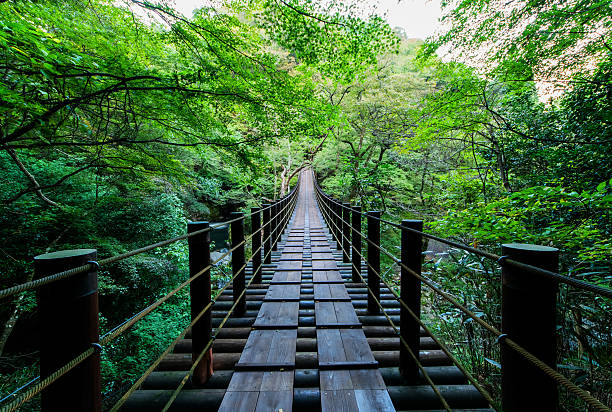 istock Shiomi Falls Suspension Bridge 523216875