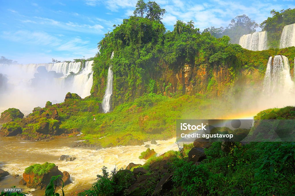 Majestic dramatic Iguacu falls in Argentina rainforest - South America You can see my collection of photos of stunning and surreal powerful Iguacu (Iguassu, Iguazu or Cataratas do Iguaçu) Falls - waterfalls and National Park rainforest, tropical birds and animals; the incredible waterfalls National Park in Brazil and Argentina sides, South America, sunrises, sunsets, and much others!!) in the following link below:  Argentina Stock Photo