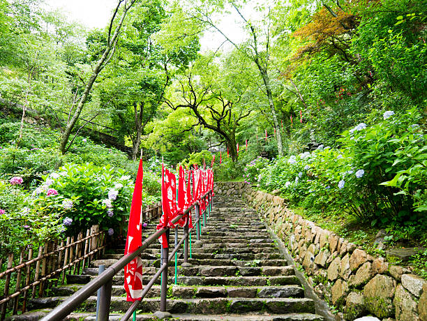 gradini in pietra di hase-dera - hase temple foto e immagini stock