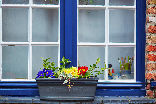Blue window with colorful flowers