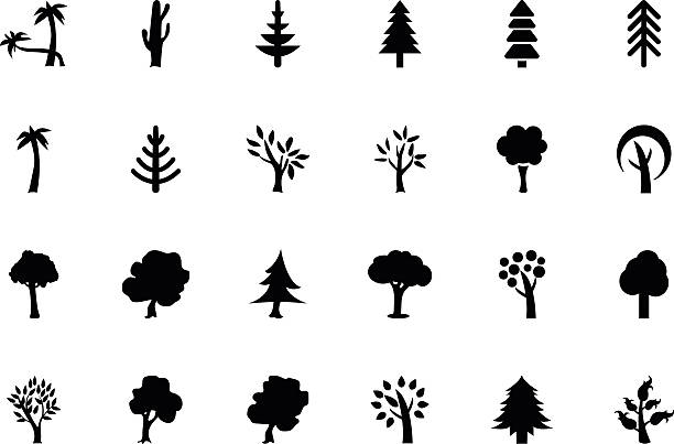 illustrazioni stock, clip art, cartoni animati e icone di tendenza di alberi vettoriale icone 2 - pino domestico
