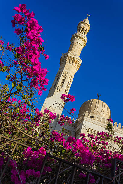istock El Mina Masjid Mosque in Hurghada, 523238674