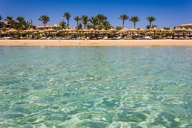 a costa da áfrica, egito, mar - hurghada imagens e fotografias de stock