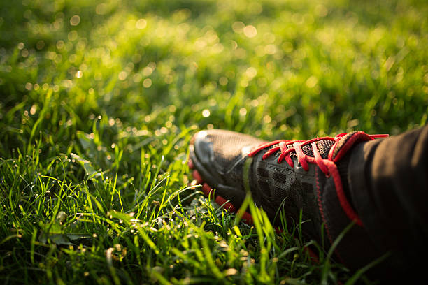 Adult woman is cardio sport and running on reed meadow. Health jogging of fitness girl is training outdoor. Concept of workouts running and healthy lifestyle. Track path of athletic young adult.