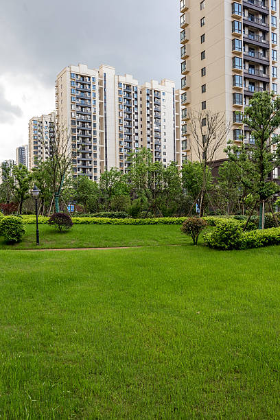 istock Residential garden and lawn 523244922