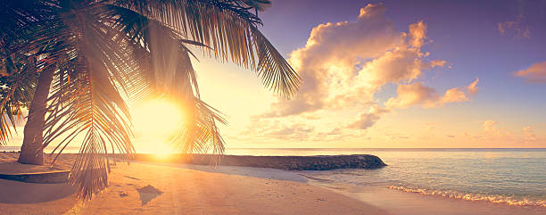istock Sunrise sea Panorama 523245084