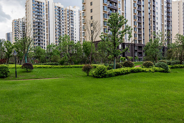 istock Residential garden and lawn 523245340