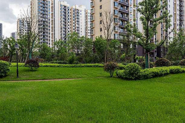 istock Residential garden and lawn 523245556