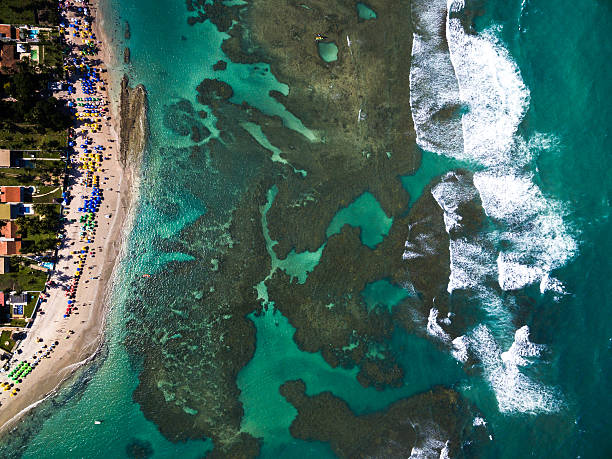 Top View of Porto de Galinhas, Pernambuco, Brazil Top View of Porto de Galinhas, Pernambuco, Brazil great barrier reef photos stock pictures, royalty-free photos & images