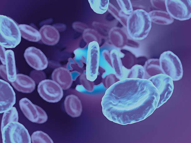 istock Blood cells. 3D illustration 523247992