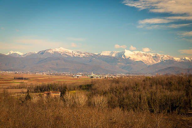 istock Vineyard in late winter 523248816