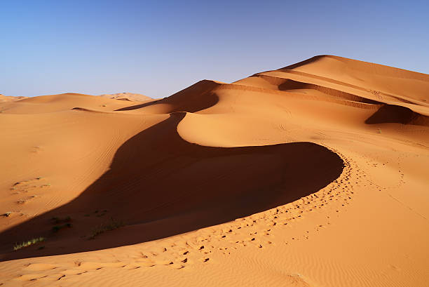 istock Morocco. Sand dunes of Sahara desert 523250378