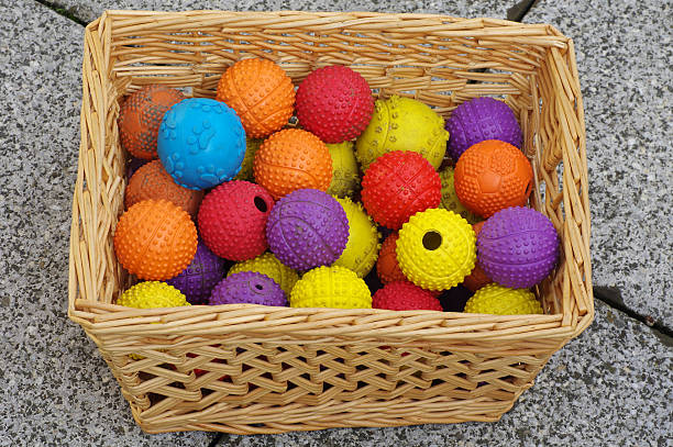 istock ball toy for dogs basket wicker 523250728