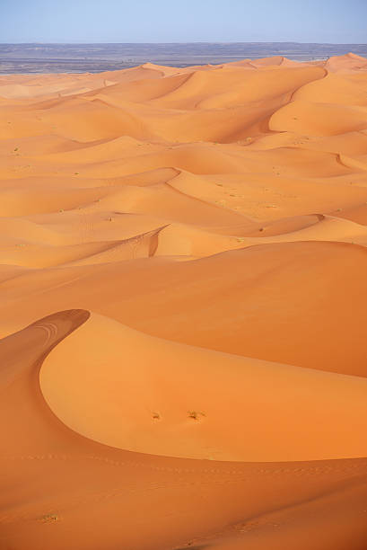 istock Morocco. Sand dunes of Sahara desert 523251086