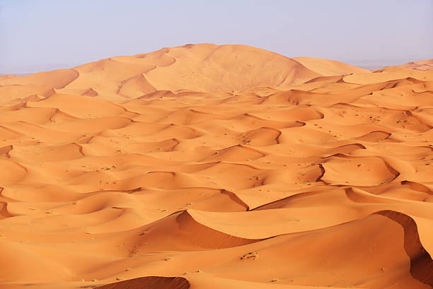 марокко. песчаные дюны пустыни сахара - desert landscape morocco sand dune стоковые фото и изображения