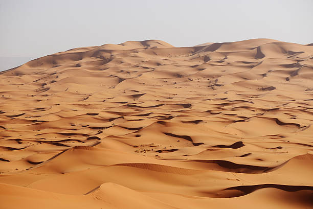 марокко. песчаные дюны пустыни сахара - desert landscape morocco sand dune стоковые фото и изображения