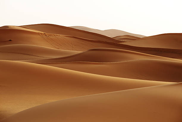 марокко. песчаные дюны пустыни сахара - desert landscape morocco sand dune стоковые фото и изображения