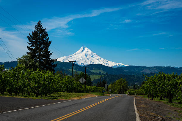 istock Highway leading to Mount Hood, Oregon 523252704
