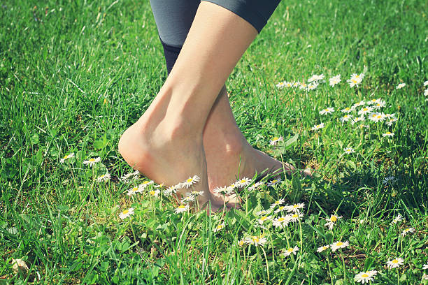 istock Woman bare feet walking on green grass. 523254024