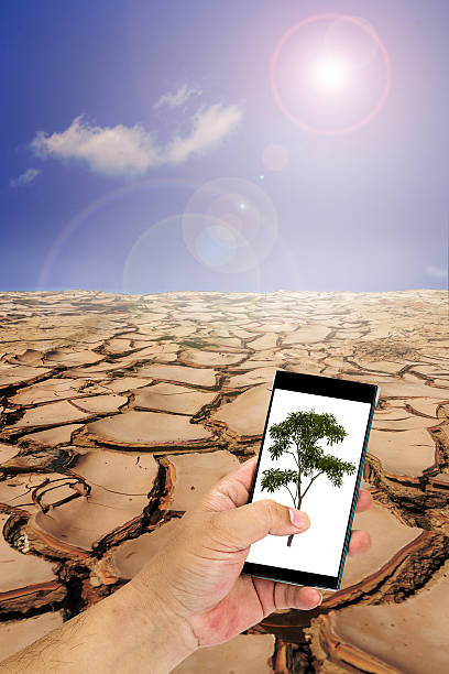 Hand carrying mobile phone with tree on cracked ground in sunny day