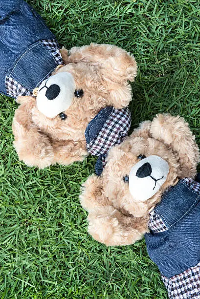 Photo of Couple teddy bears rest on lawn