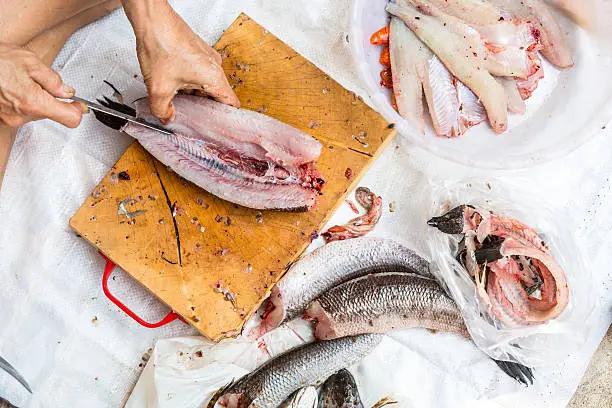 Photo of Cleaning and filleting a fresh fish.
