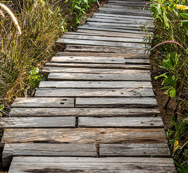 istock wooden teak walkway background 523259462