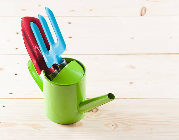 istock Gardening tools and plant 523259679