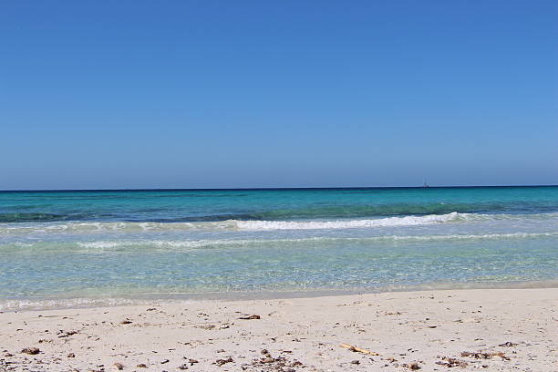 istock palma de majorque - es trenc beach 523259746