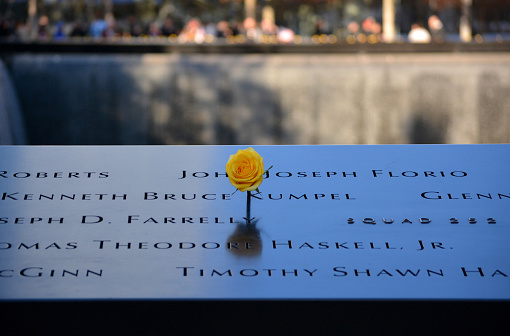 New York City, USA - November 12, 2014: Flower left in honor of veterans day at the National 9/11 Memorial at Ground Zero in New York City on November 12, 2014.