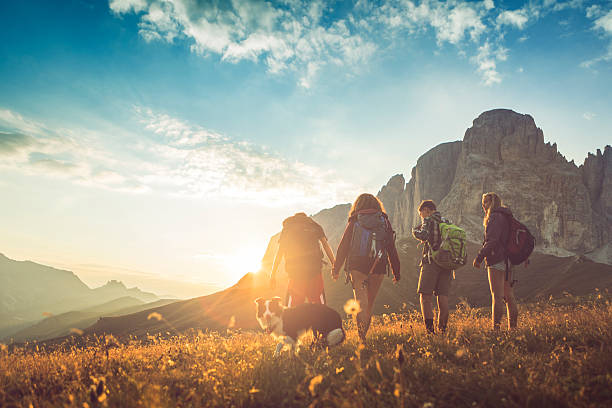 istock Adventures on the Dolomites with dog 523260532