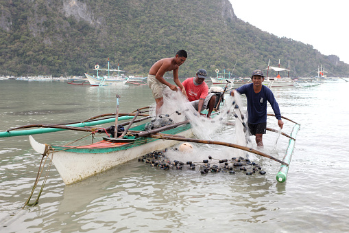 El Nido, Philippines - February 16, 2012:Local fishermen hauling in fish from fishing nets.