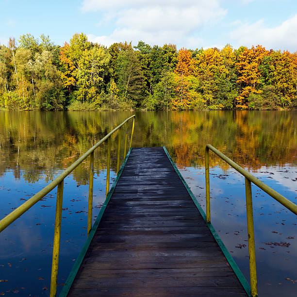 istock pier on a lake in autumn 523261223