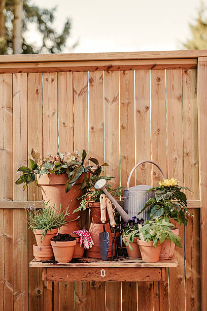 istock Garden flower pot still life 523261866