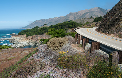 California Highway 1 curves along a mountainous shoreline amid a variety of plants that grow in the dry coastal climate south of Carmel.
