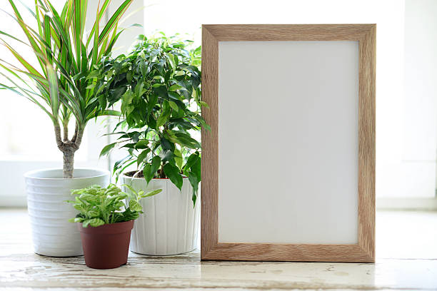 empty Picture Frame and flowers in a pot