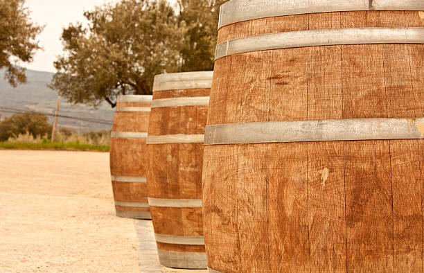 istock Row of wine barrels, toned in sepia 523264608