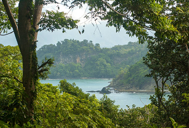 istock Pacific Coastline in Costa Rica 523264618