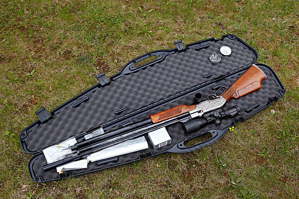 istock Hunting airgun in a shell 523265005