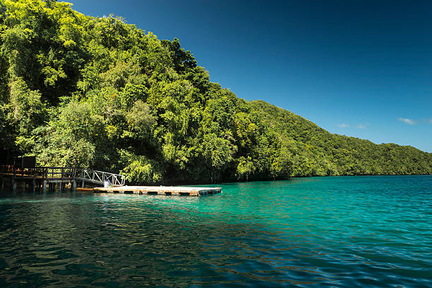 islas rocosas y medusa lago-palau, micronesia - islas-rocosas fotografías e imágenes de stock