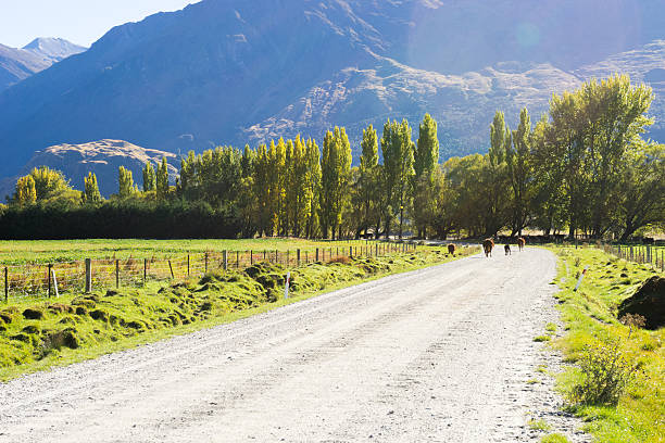 istock Picturesque landscape 523272157