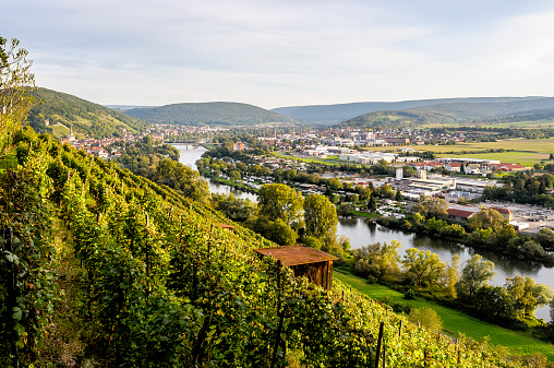 View over the vineyards of Klingenberg in Germany. Photographed summer 2014.