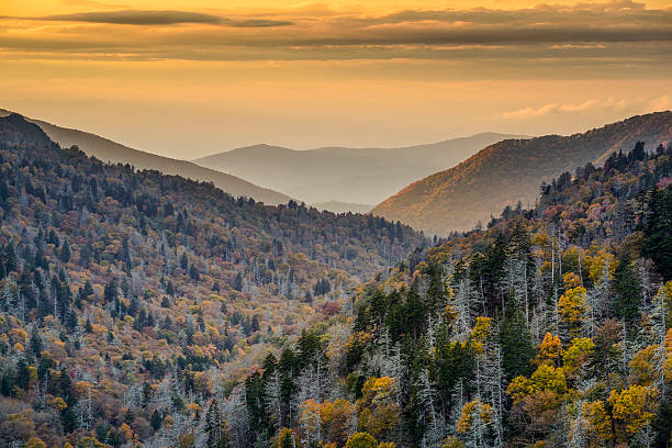 istock Smoky Mountains National Park 523277823