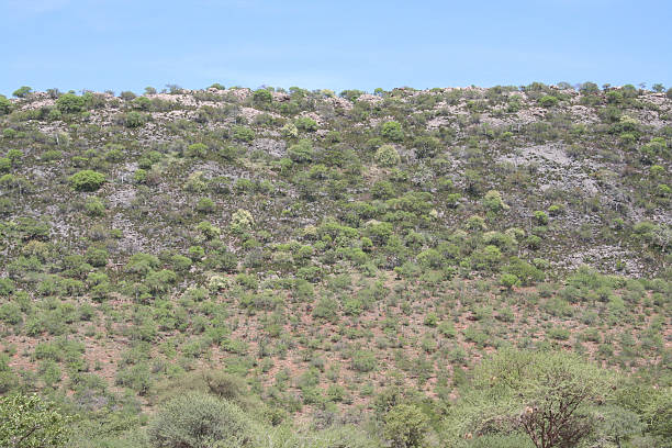 istock Landscape between Sesfontein and Opuwo, Namibia, Africa 523279087