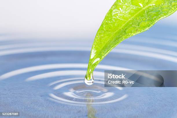 Green Leaf With Water Ripple Stock Photo - Download Image Now - Backgrounds, Beauty In Nature, Blue