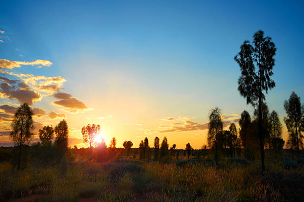 outback coucher du soleil - northern territory flash photos et images de collection