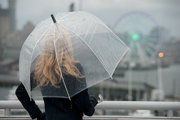 Seattle Rain A woman with a clear umbrella in the rain on the Seattle waterfront pooling at the illuminated ferris wheel. elliott bay photos stock pictures, royalty-free photos & images