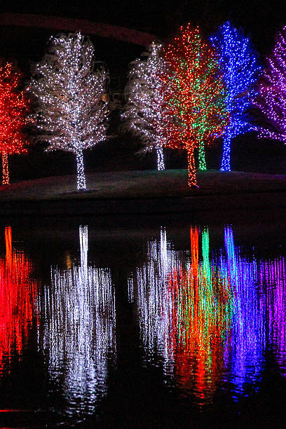 istock Reflections of Christmas 523289601