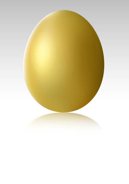 외동 골드 달걀 - white background brown animal egg ellipse stock illustrations